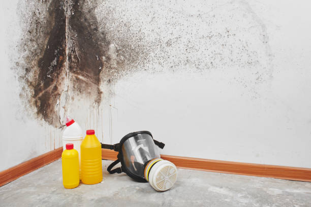 Best Mold Removal Near Me  in Yukon, OK