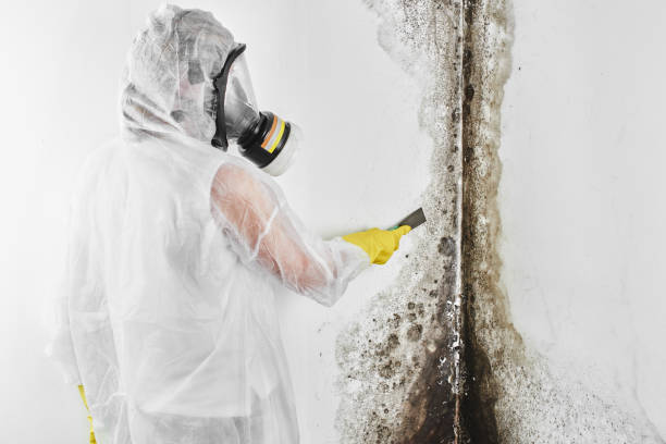 Best Fast Mold Removal  in Yukon, OK