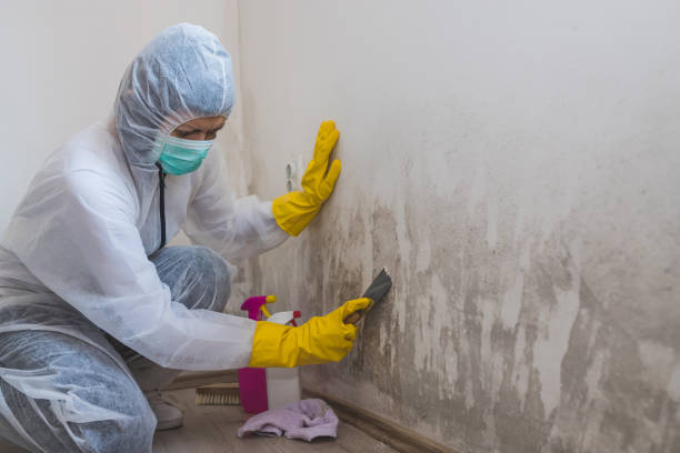 Best Commercial Mold Removal  in Yukon, OK