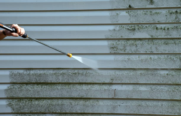 Best Fast Mold Removal  in Yukon, OK