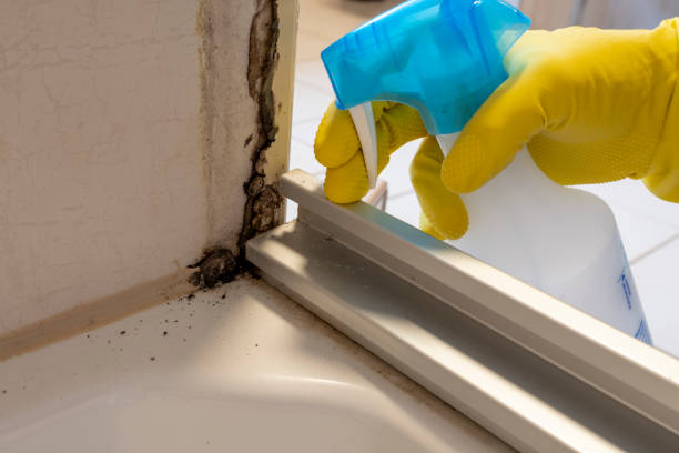 Best Mold Remediation Services  in Yukon, OK