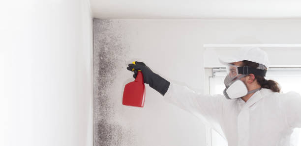 Best Commercial Mold Removal  in Yukon, OK