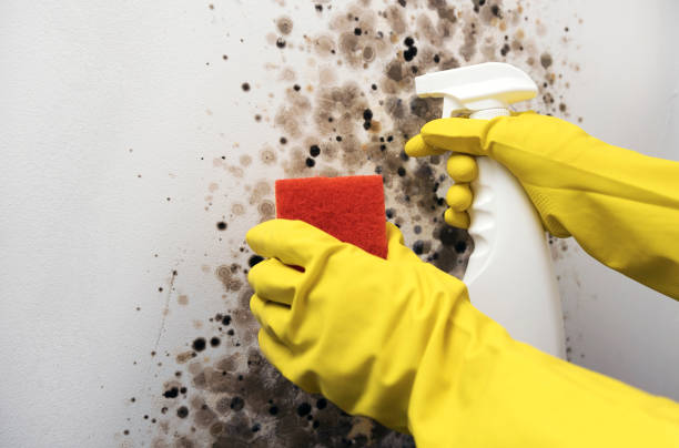 Best Office Mold Removal Services  in Yukon, OK