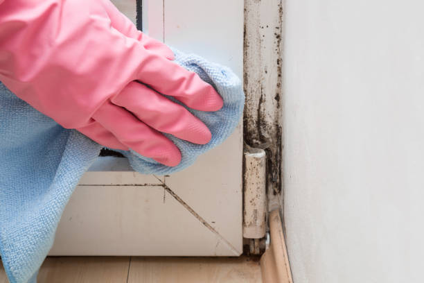  Yukon, OK Mold Removal Pros
